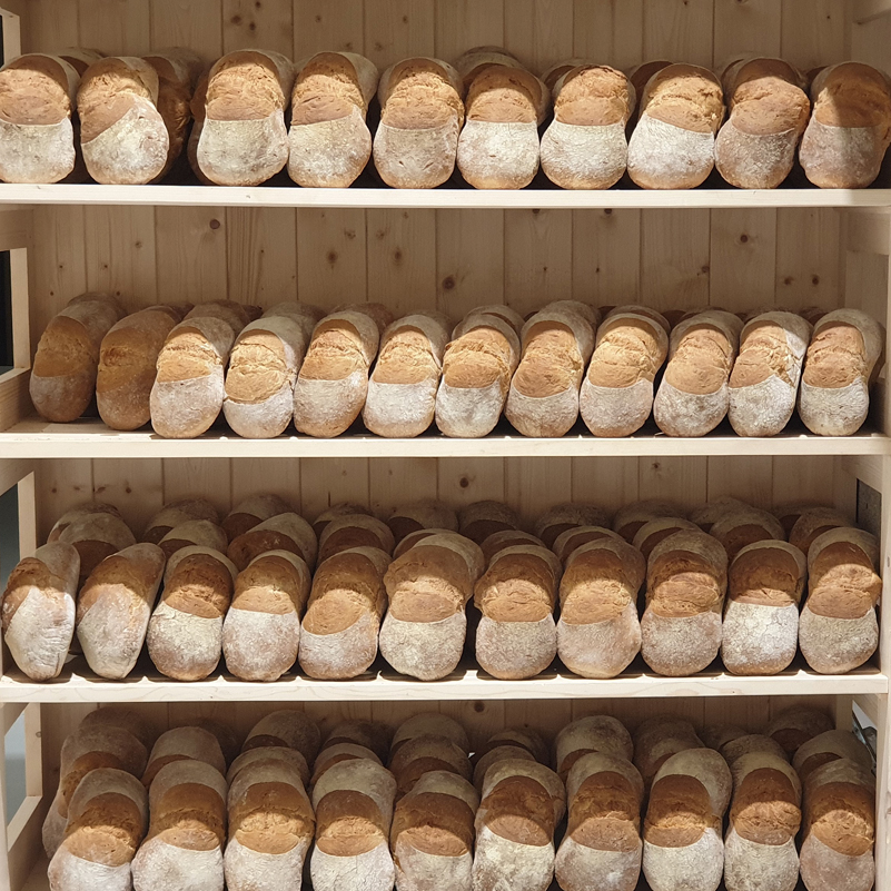 Cesta Galicia Xacobeo - Imagen 2